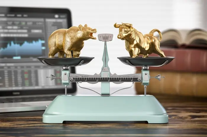 Bulls and Bonds A Comparative Study of Stocks vs Bonds in Investment Portfolios